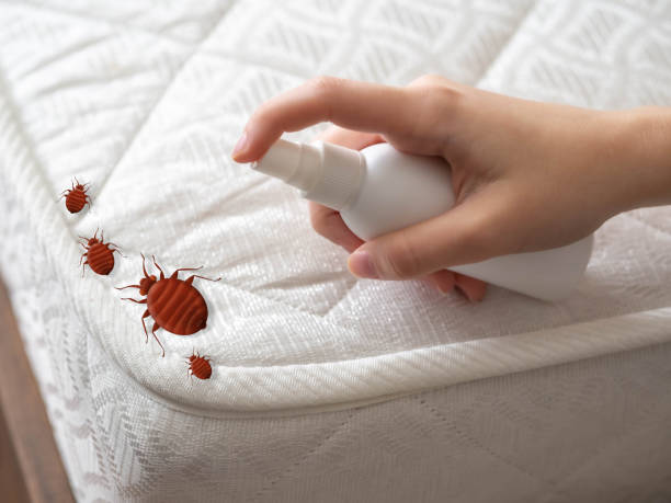 Best Residential Pest Control  in Raleigh, NC